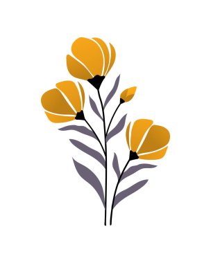 Ev dekorasyonu için çiçek posteri. Düz botanik illüstrasyon, El Çizimi Bahar Çiçekleri Vektör Koleksiyonu, Bahar ve Yaz Çiçeği Dekorasyonları