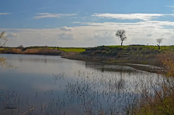 Huzurlu Göl Manzarası. Suyun gökyüzü yansımasına odaklanmış dingin bir göl manzarası, çevreleyen yeşilliğin doğal güzelliğiyle tamamlanmış..