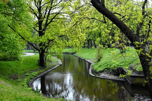 Riga 'da canlı yeşil bir parkın içinden süzülen dar bir kanal veya küçük bir nehrin huzurlu manzarası.
