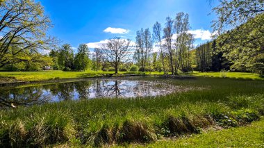 Doğal Park 'ta Ağaç Yansımalı Gölet, Riga. 