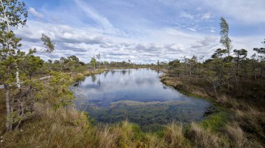 Yansıyan Gökyüzü ile Serene Wetland Manzarası. Yüzeyi dinamik bulutları yansıtan, kendine özgü bataklık bitkisi tarafından çerçevelenmiş, bir turba bataklığının içindeki su yolu.. 