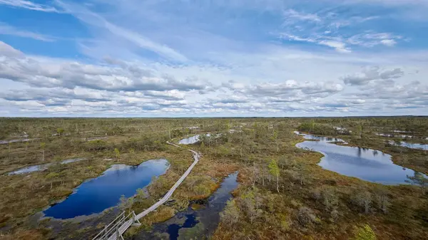 Yansıyan Gökyüzü ile Serene Wetland Manzarası. Yüzeyi dinamik bulutları yansıtan, kendine özgü bataklık bitkisi tarafından çerçevelenmiş, bir turba bataklığının içindeki su yolu.. 