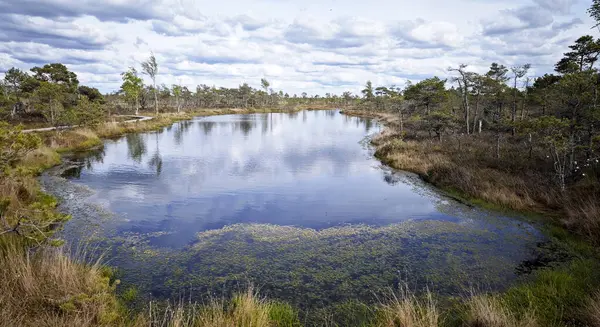 Yansıyan Gökyüzü ile Serene Wetland Manzarası. Yüzeyi dinamik bulutları yansıtan, kendine özgü bataklık bitkisi tarafından çerçevelenmiş, bir turba bataklığının içindeki su yolu.. 