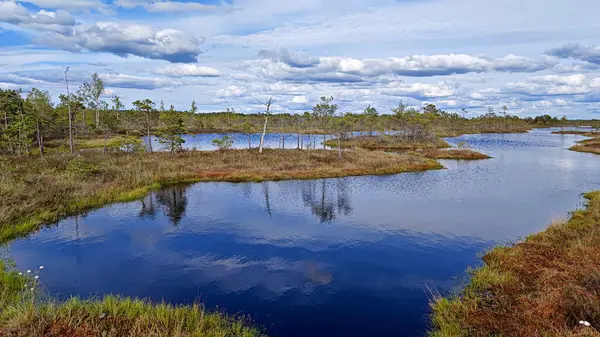 Yansıyan Gökyüzü ile Serene Wetland Manzarası. Yüzeyi dinamik bulutları yansıtan, kendine özgü bataklık bitkisi tarafından çerçevelenmiş, bir turba bataklığının içindeki su yolu.. 