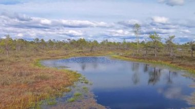 Yansıyan Gökyüzü ile Serene Wetland Manzarası. Yüzeyi dinamik bulutları yansıtan, kendine özgü bataklık bitkisi tarafından çerçevelenmiş, bir turba bataklığının içindeki su yolu.. 