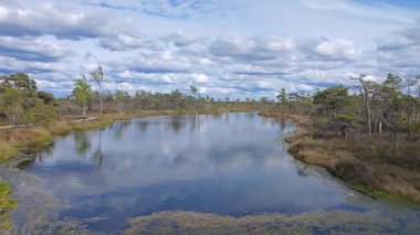 Letonya 'daki Sulak Alan Yansımaları' nın yavaş çekim videosu. Sakin ve karanlık suların yansıması bulutlu bir gökyüzünü mükemmel bir şekilde yansıtıyor.. 