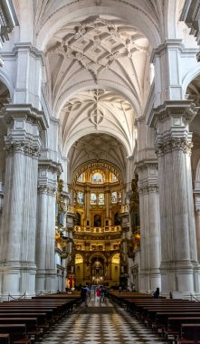 Endülüs Özerk Topluluğu 'ndaki Granada Katedrali, İspanya