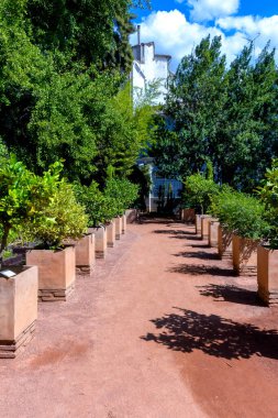 Granada Üniversitesi Botanik Bahçesi, İspanya