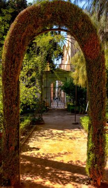 Granada Üniversitesi Botanik Bahçesi, İspanya