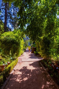 Granada Üniversitesi Botanik Bahçesi, İspanya