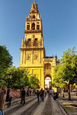 Cordoba Camii, Endülüs, İspanya 'daki Patio de los Naranjos Katedrali