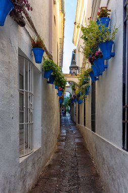 Ünlü Calleja de las Flores Caddesi Cordoba, Endülüs, İspanya