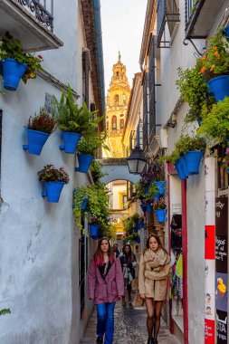 Ünlü Calleja de las Flores Caddesi Cordoba, Endülüs, İspanya