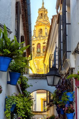 Ünlü Calleja de las Flores Caddesi Cordoba, Endülüs, İspanya