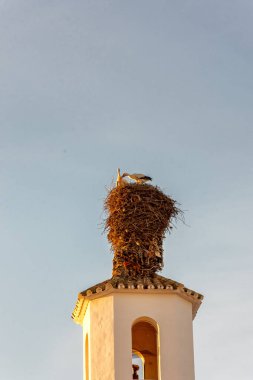 Encinarejo 'daki leylekler kilise çan kulesi, Cordoba, İspanya