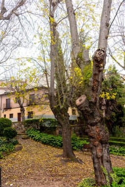 Parque de la Vega, Toledo, Castilla la la Mancha, İspanya