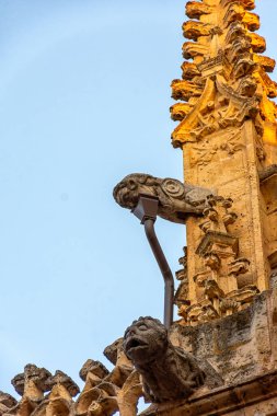 Kastilya 'daki Aziz Frutos Katedrali ve İspanya' daki Leon Katedrali