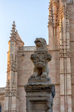 Kastilya 'daki Aziz Frutos Katedrali ve İspanya' daki Leon Katedrali