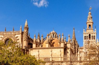 Seville, İspanya saint mary Katedrali