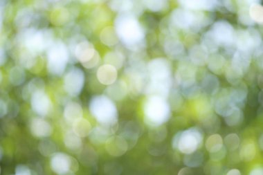 Soyut bulanık yeşil doğa gün ışığı arka planında, yeşillik mevsiminde