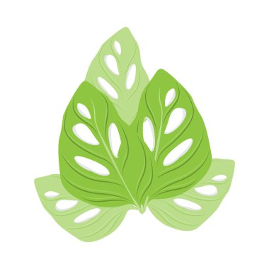 Monstera adansonii Yaprak Logosu, Yeşil Bitki Vektörü, Ağaç Vektörü, Nadir Yaprak İllüstrasyonu