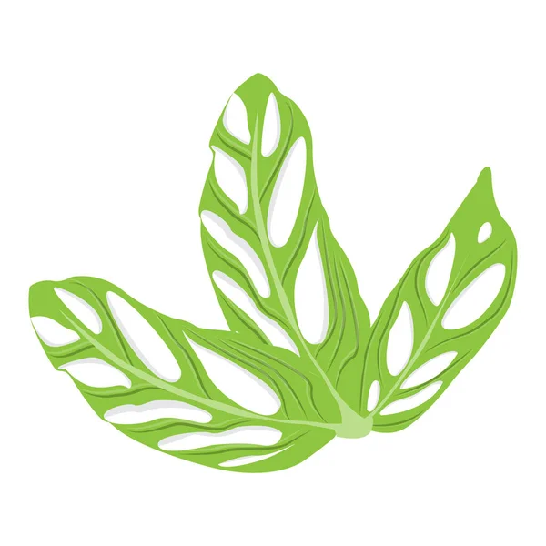Monstera Adansonii Yaprak Logosu Yeşil Bitki Vektörü Ağaç Vektörü Nadir — Stok Vektör