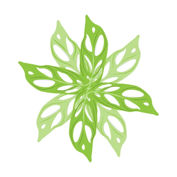 Monstera Adansonii Blad Logotyp Grön Växt Vektor Träd Vektor Sällsynta — Stock vektor