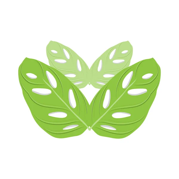 Logotipo Hoja Monstera Adansonii Vector Planta Verde Vector Árbol Ilustración — Vector de stock