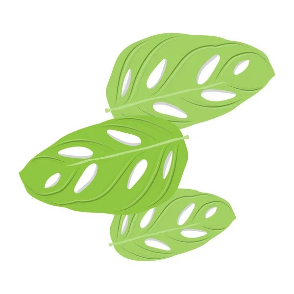 Monstera Adansonii Yaprak Logosu Yeşil Bitki Vektörü Ağaç Vektörü Nadir — Stok Vektör