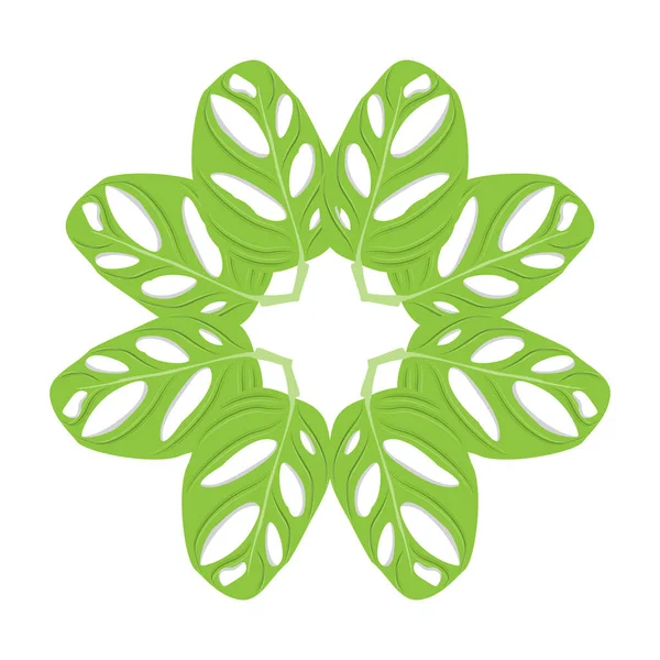 Logo Feuille Monstera Adansonii Vecteur Vert Plante Vecteur Arbre Illustration — Image vectorielle