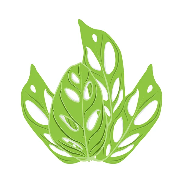 Logotipo Hoja Monstera Adansonii Vector Planta Verde Vector Árbol Ilustración — Archivo Imágenes Vectoriales