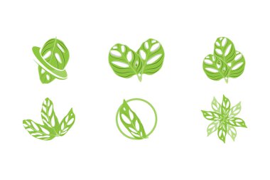 Monstera adansonii Yaprak Logosu, Yeşil Bitki Vektörü, Ağaç Vektörü, Nadir Yaprak İllüstrasyonu