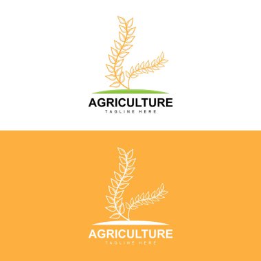 Rice Logo, Agriculture Design, Vector Wheat Rice Icon Template Illustration