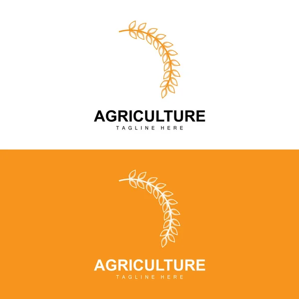 Rice Logo Agriculture Design Vector Wheat Rice Icon Template Illustration — Archivo Imágenes Vectoriales