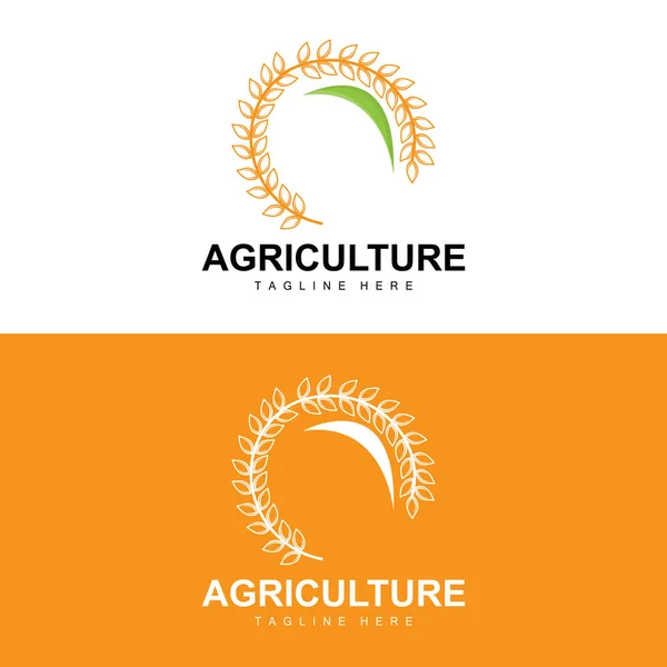 Logo Riz Conception Agricole Illustration Vectorielle Icône Riz Blé — Image vectorielle