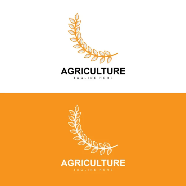 Rice Logo Agriculture Design Vector Wheat Rice Icon Template Illustration — Stock Vector