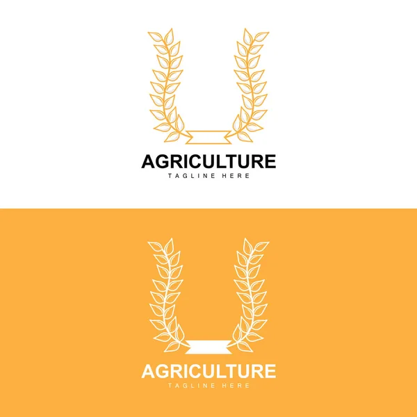 Rice Logo Agriculture Design Vector Wheat Rice Icon Template Illustration — Stockvektor