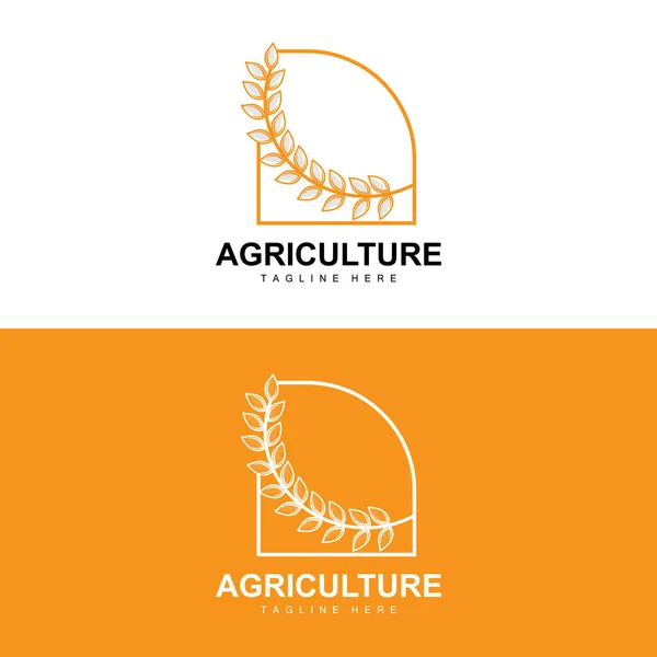 Rice Logo Agriculture Design Vector Wheat Rice Icon Template Illustration —  Vetores de Stock