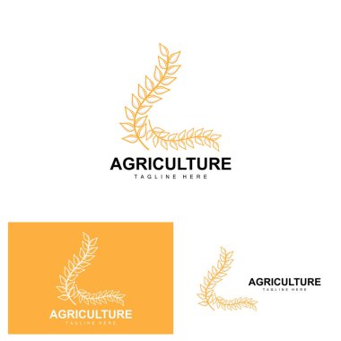 Rice Logo, Agriculture Design, Vector Wheat Rice Icon Template Illustration