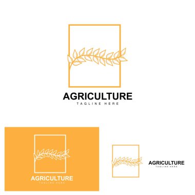 Rice Logo, Agriculture Design, Vector Wheat Rice Icon Template Illustration