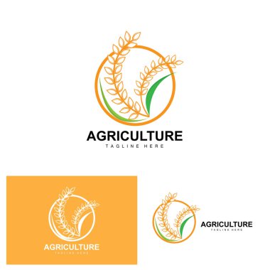 Rice Logo, Agriculture Design, Vector Wheat Rice Icon Template Illustration