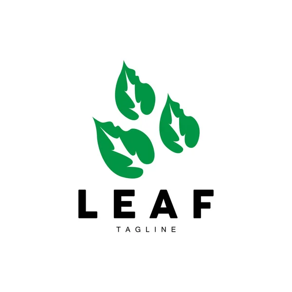 Yeşil Yaprak Logosu Ekoloji Doğal Bitki Vektörü Doğa Tasarımı Çizim — Stok Vektör