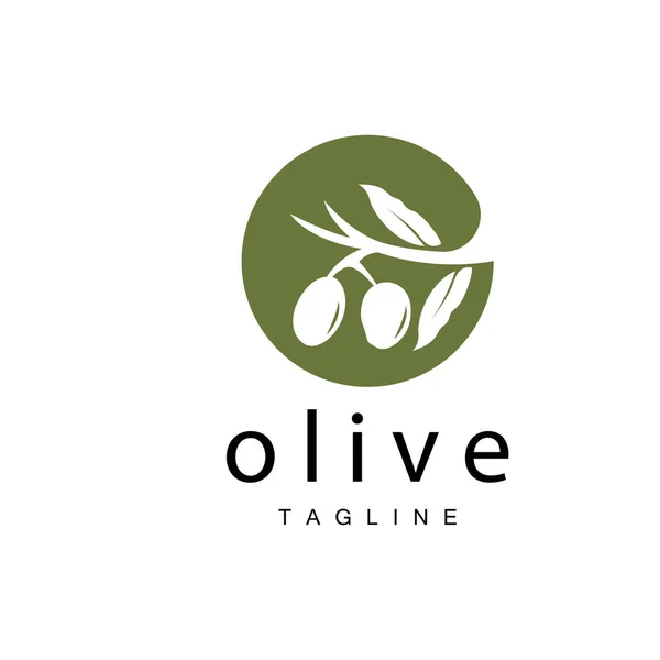 橄榄标志 橄榄油植物病媒 天然草药健康药物设计 图例模板图标 — 图库矢量图片