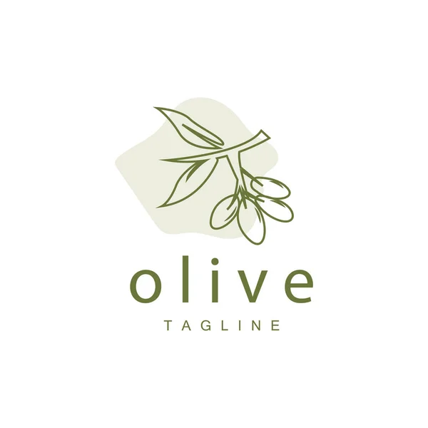 Olivenlogo Olivenöl Pflanzenvektor Natürliche Pflanzenheilkunde Design Illustration Template Icon — Stockvektor