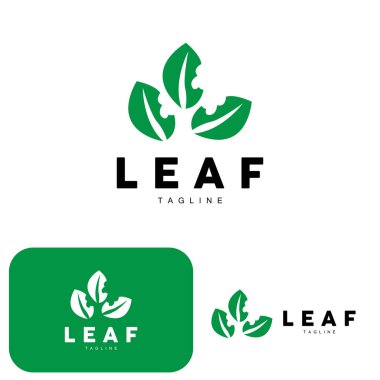 Yeşil Yaprak Logosu, Ekoloji Doğal Bitki Vektörü, Doğa Tasarımı, Çizim Şablonu Simgesi Simgesi