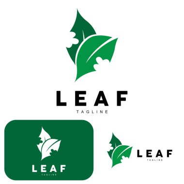 Yeşil Yaprak Logosu, Ekoloji Doğal Bitki Vektörü, Doğa Tasarımı, Çizim Şablonu Simgesi Simgesi