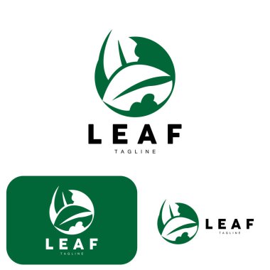 Yeşil Yaprak Logosu, Ekoloji Doğal Bitki Vektörü, Doğa Tasarımı, Çizim Şablonu Simgesi Simgesi