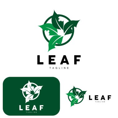 Yeşil Yaprak Logosu, Ekoloji Doğal Bitki Vektörü, Doğa Tasarımı, Çizim Şablonu Simgesi Simgesi