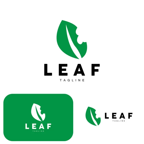 Green Leaf Logo Ecology Natural Plant Vector Nature Design Illustration — 스톡 벡터