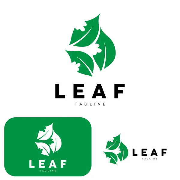 Logo Zelené Listy Ekologie Vektor Přírodní Rostliny Design Přírody Ikona — Stockový vektor